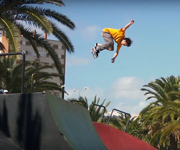 nike_sb_dann