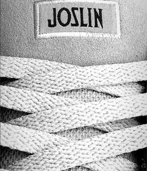 joslin pro etnies shoe