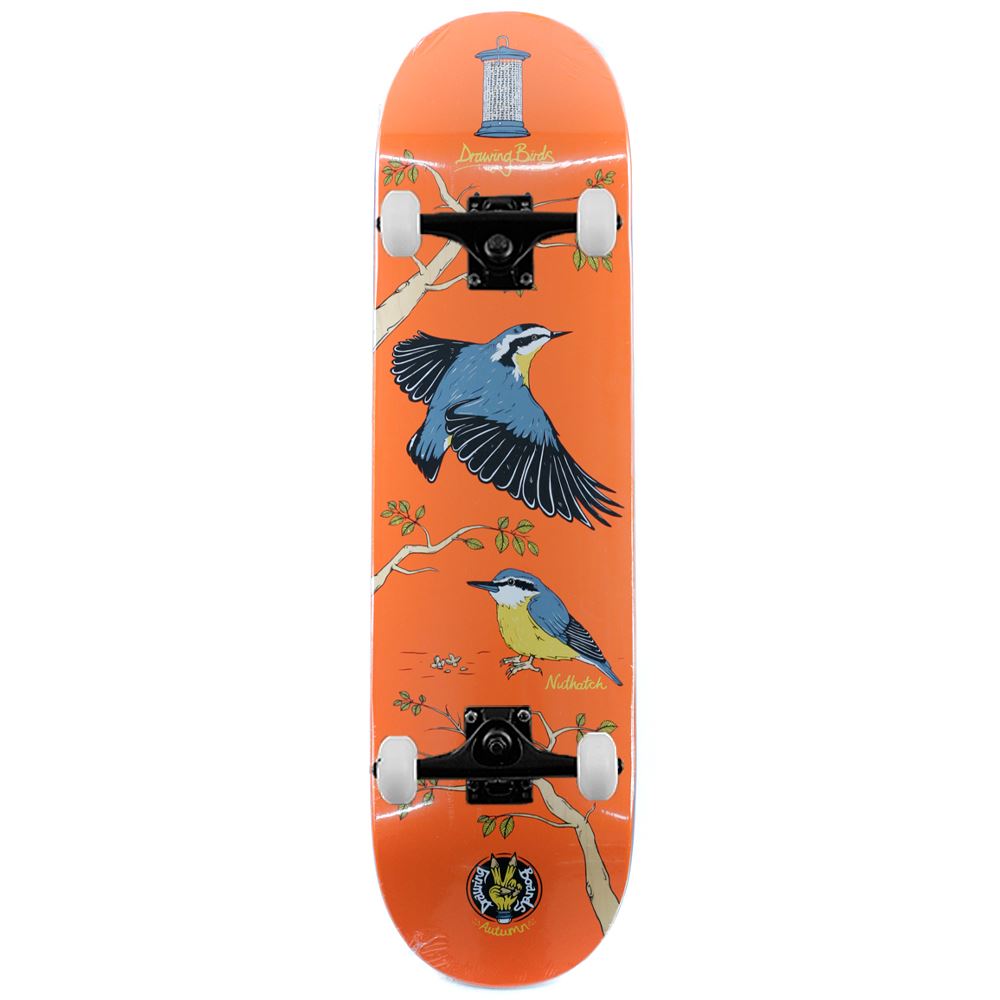Drawing Boards Skateboards Nuthatch Complete Skateboard 8.5"
