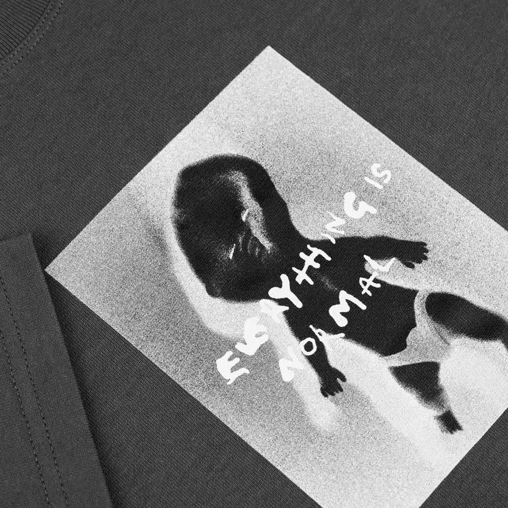 Polar Skateboards Everything Is Normal T-Shirt Graphite