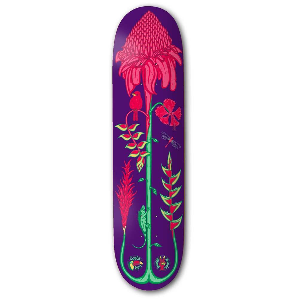 Drawing Boards Skateboard Deck Costa Rica Series Torch Ginger 8.5