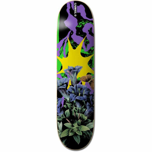 Element Combine Gabriel Alcala Skateboard Deck 8.25"