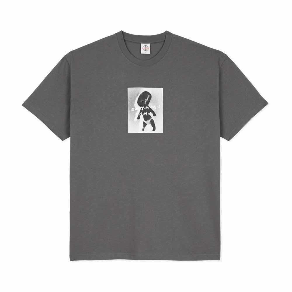 Polar Skateboards Everything Is Normal T-Shirt Graphite