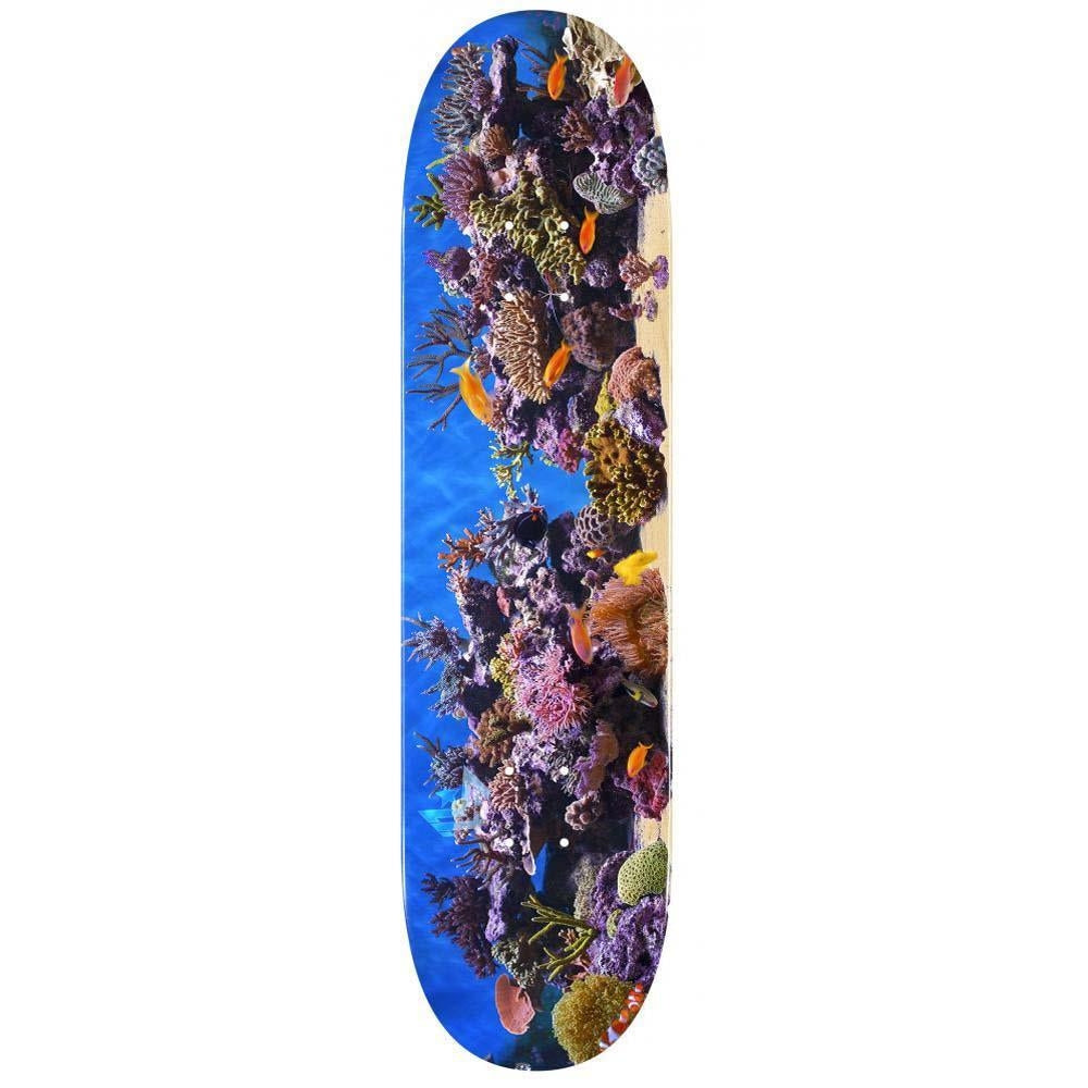 Mini Logo Skateboard Deck 18 Fish Tank 291 Multi Colour 7.75"