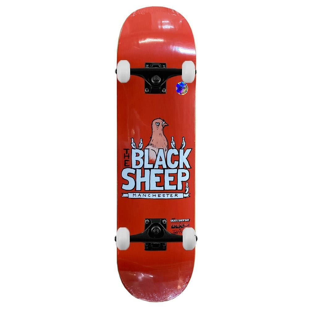 Black Sheep X Todd Francis Sketchy Skate Shop Complete Skateboard Orange 8.5"
