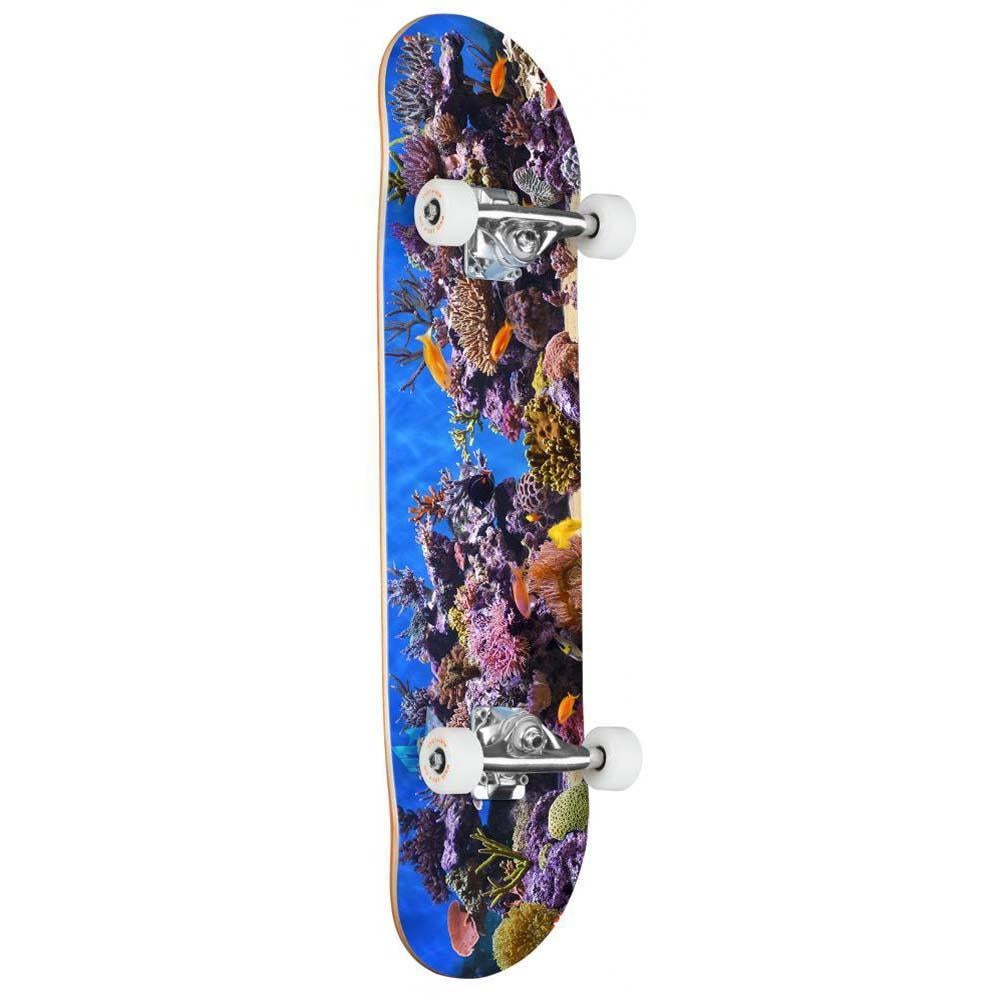 Mini Logo FF&F 18 Fish Tank 291 Factory Complete Skateboard Multi 7.75"
