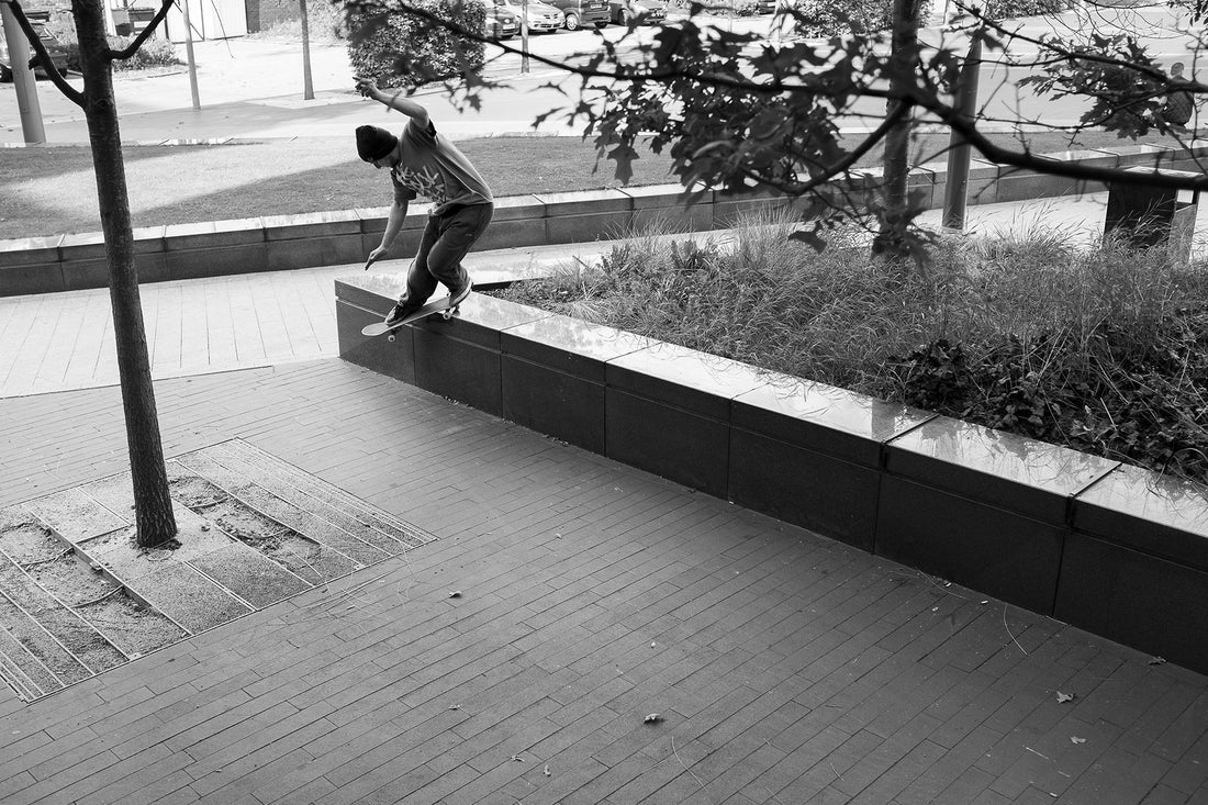 Chris-Back-Smith-Export