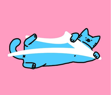 lakai x leon krassen cat