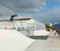 spitfire-wheels-harry-lintell