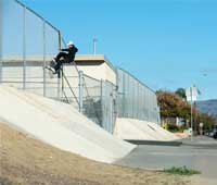hermann-nosegrind-real-skateboards