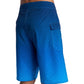 DC Shoes Lanai 21" Blue Boardshorts