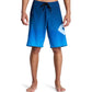DC Shoes Lanai 21" Blue Boardshorts