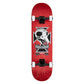 Birdhouse Factory Complete Skateboard Stage 3 Hawk Skull 2 Red 8.25"