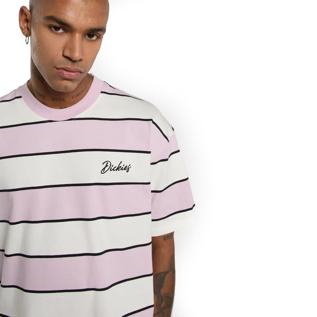 Dickies Short Sleeve Embroidery Stripe T-Shirt Ecru