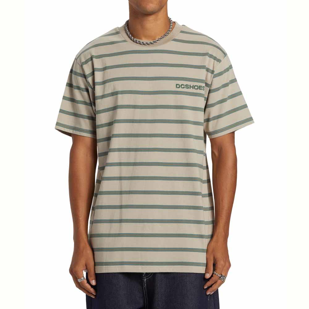 DC Shoes Upstate Stripe T-Shirt Silver Lining