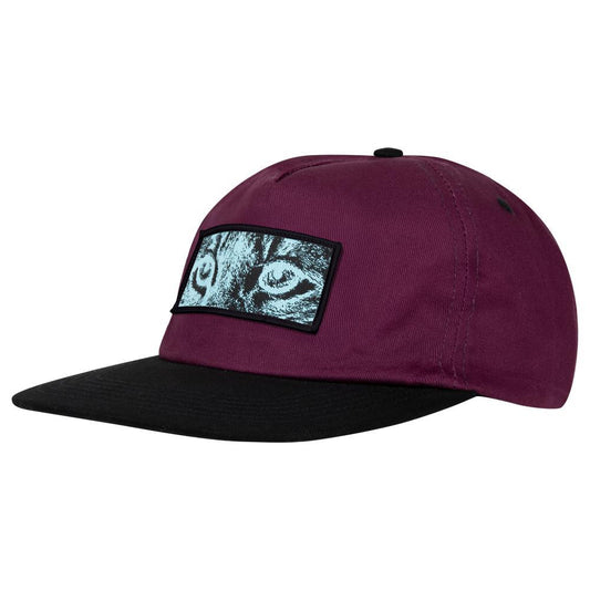 Arbor Skateboards Wildcat Cap Mulberry Black