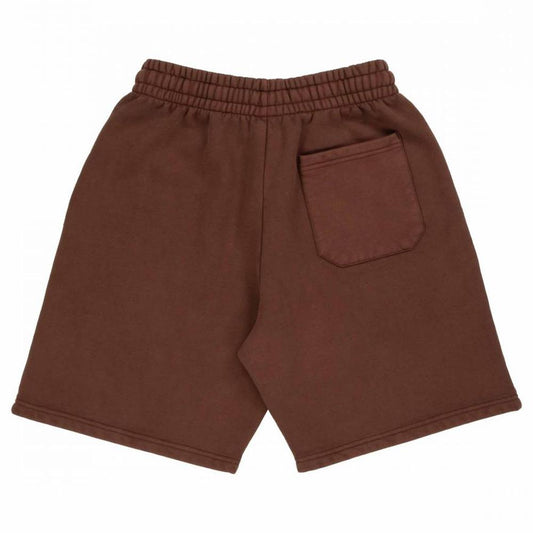 Santa Cruz Winkowski Eighth Planet Shorts Coffee Brown