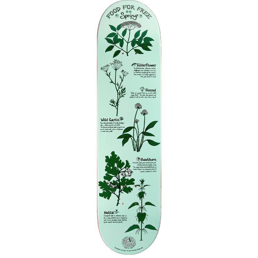 Drawing Boards Food For Free Series Spring Skateboard Deck