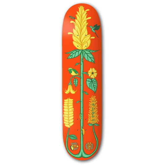 Drawing Boards Skateboard Deck Costa Rica Series The Golden Shrimp 8.5"