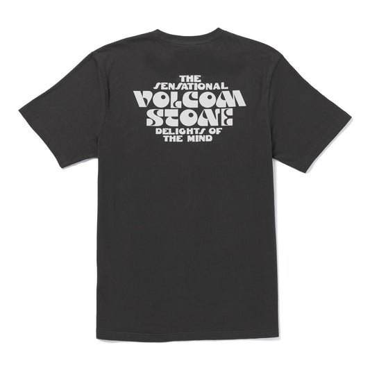 Volcom Delights FTY Short Sleeve T-shirt Stealth Grey