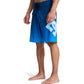 DC Shoes Lanai 21" Blue Boardshorts