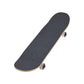 Element Skateboards Seal Factory Complete Skateboard 8.0"
