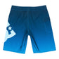 DC Shoes Lanai 21" Blue Boardshorts