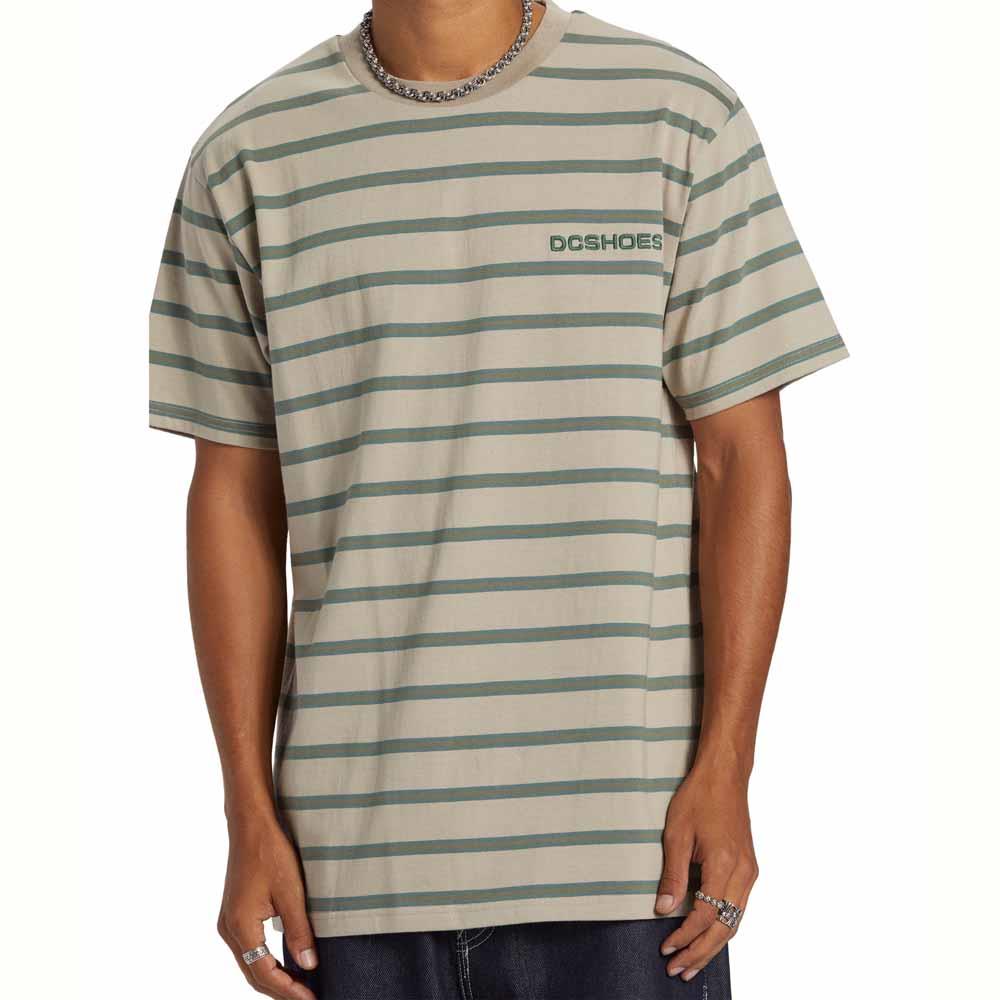 DC Shoes Upstate Stripe T-Shirt Silver Lining