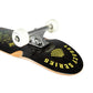 Arbor Street Complete Skateboard Legacy Cucharon Spellbound Multi 8.75"