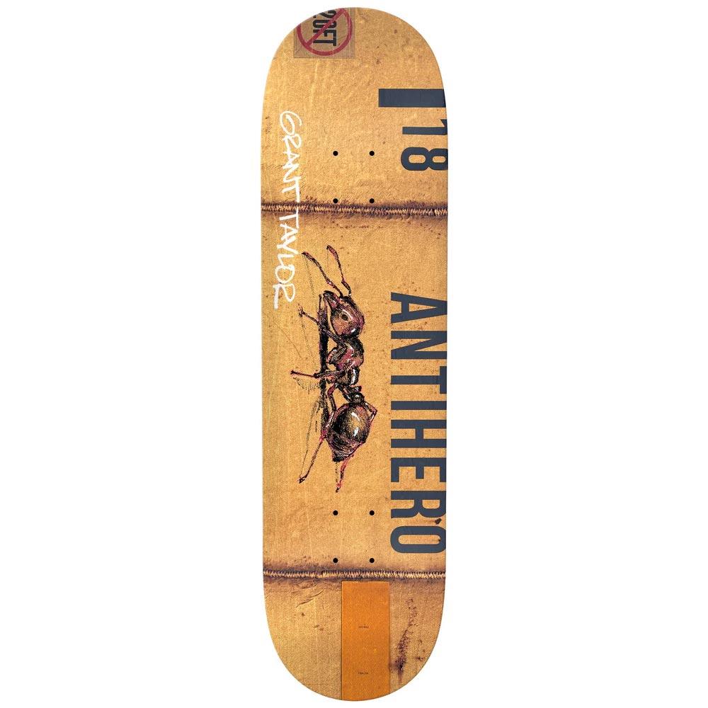 Anti Hero Taylor Intermodal Deck Multi Skateboard Deck 8.32"