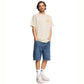 DC Shoe Co Worker Baggy Denim Shorts  Stone Indigo