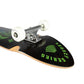 Arbor Street Complete Skateboard Legacy Pistola Spellbound Multi 9.25"