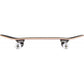 Tony Hawk SS 180 Factory Complete Skateboard Big League Mini Red 7.25"
