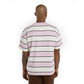 Dickies Short Sleeve Embroidery Stripe T-Shirt Ecru