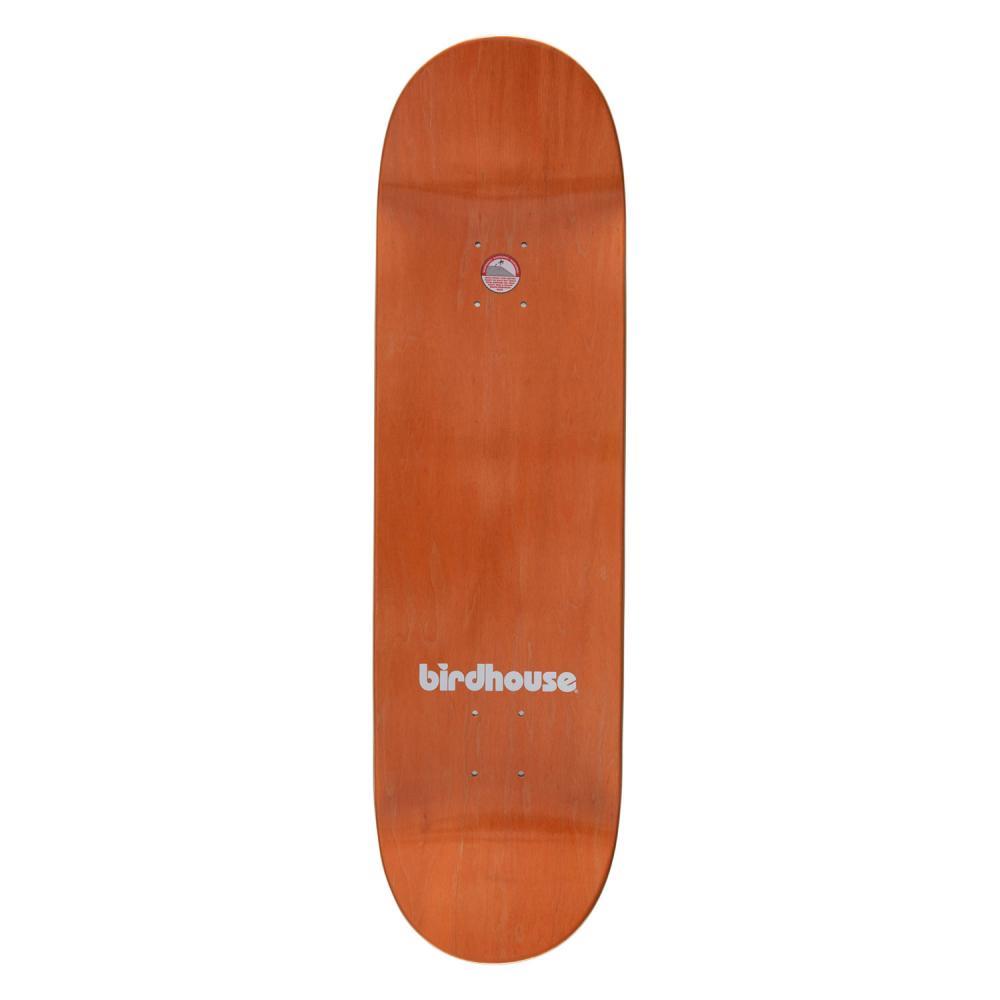 Birdhouse Pro Skateboard Deck Sloan Todaro Multi 8.75"