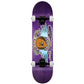 Toy Machine All Hail Complete Skateboard Multi 8.25"