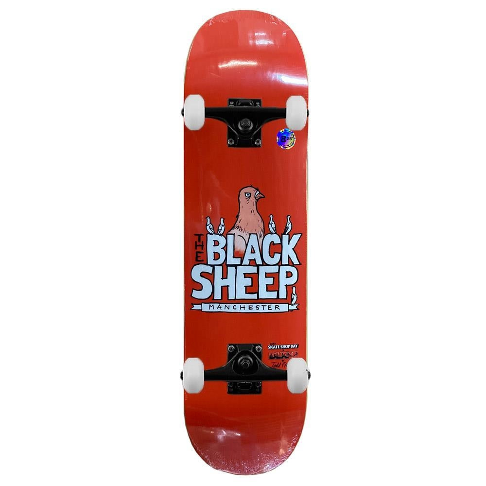 Black Sheep X Todd Francis Sketchy Skate Shop Complete Skateboard Orange 8.25"